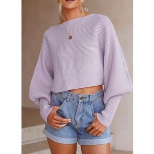 ✦NWT Purple Knitted Batwing Sweater✦